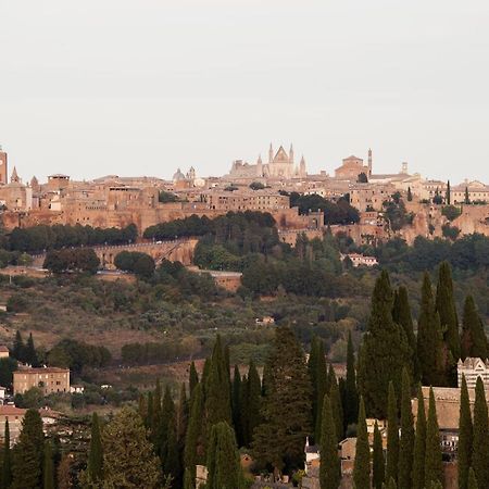 Appartement Domus Festina Lente à Orvieto Extérieur photo