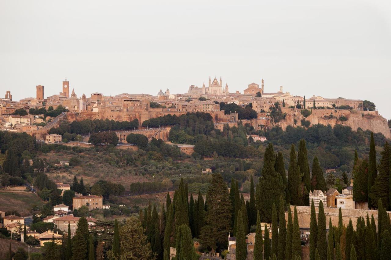 Appartement Domus Festina Lente à Orvieto Extérieur photo