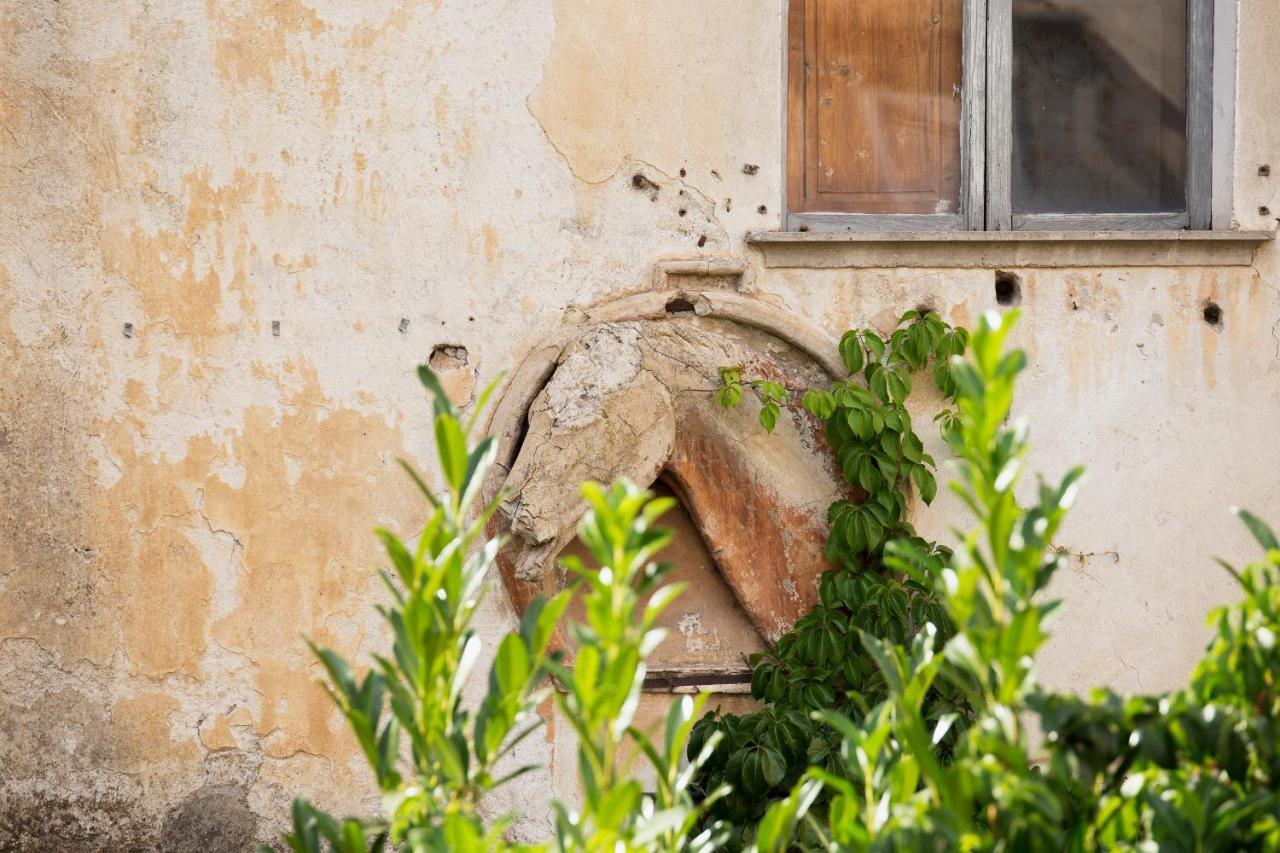 Appartement Domus Festina Lente à Orvieto Extérieur photo